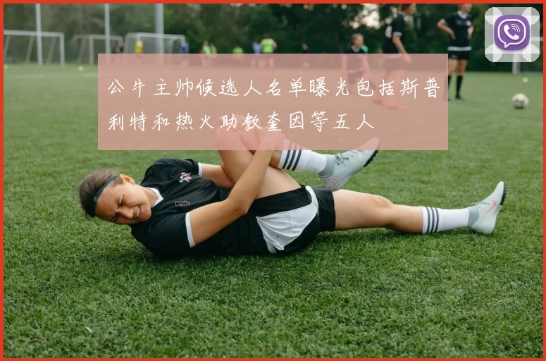 公牛主帅候选人名单曝光包括斯普利特和热火助教奎因等五人