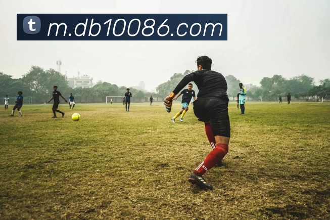 DB真人平台生态图