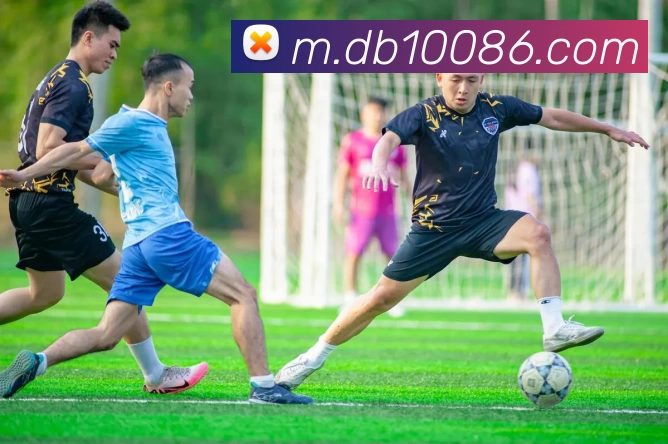 DB真人APP 封面图